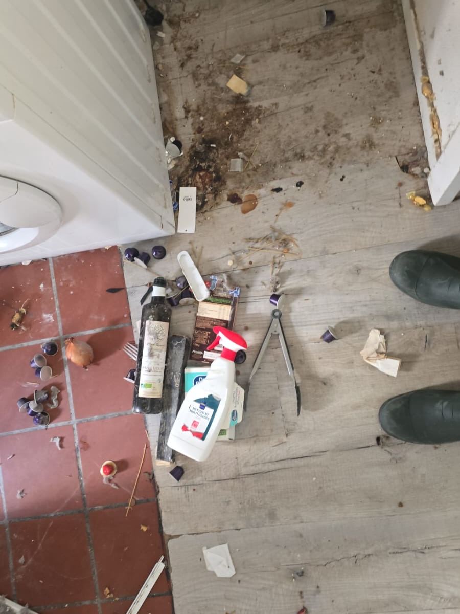 Sol d’appartement encombré de déchets avant le débarras